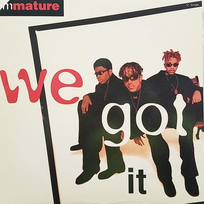 12inch Record IMMATURE - We Got It MCA1255156 MCA Records 1995 US Rap & Hip-Hop/R&B Used