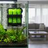 10PCS Hydrophobic Goldfish Spawning Hatching Grass Fish Spawning Breeding Brush  Aquarium Fish Tank