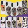 Funny Sad Hamster Meme Phone Case For Xiaomi Poco X7 X6 X5 Pro F7 Ultra Redmi 15C 15 13 13C 12 12C 10 10A 10C 9 9A 9C 9T Cover P