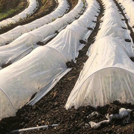 Non Woven Fabric for Agriculture Floating Row Cover Garden Plants, Frost Protection Blanket, Breathable Non-woven Reusable Orchard Heat Insulation