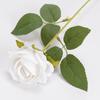 Artificial Rose Eye-catching No Withering Fresh-keeping Fancy Single Branch Simulation Roses Wedding Favors