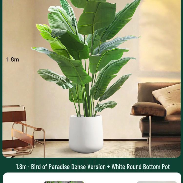 High-End Indoor Bird of Paradise Decor: Luxury Potted Traveler's Palm