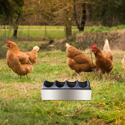 Feeder Trough Stainless Steel Chick Feeding Dispenser Tray for Duck