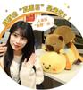Reversible Capybara To Bee Plush Toy
