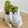 Resin Dog Succulent Planter Ornaments Mini French Bulldog Plant Planter Waterproof Handicraft  Garden Lawn Decor