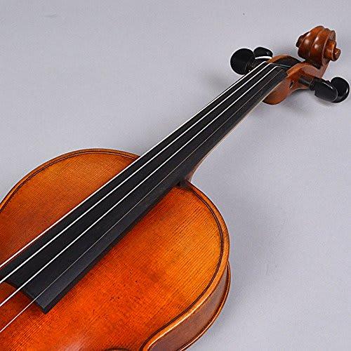 Nicolo Santi NSN60S Beginner's Violin Set, Supervised by Meister Mogi (Nicolo Santi)