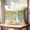 Cute Kawali Peter R-Rabbit Cushion Cover For Pillow Printing Sofa Decoration Home Car Room Coffee Shop Office Nordic Simplicity
