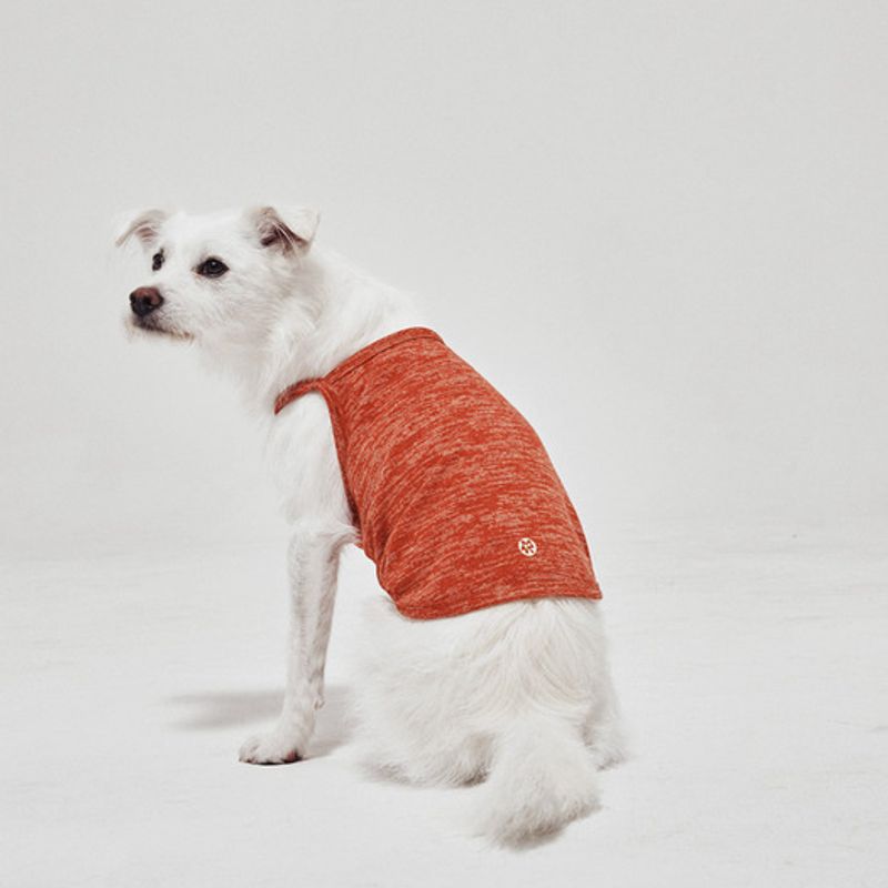 Shade Haustier Tanktop_Orange