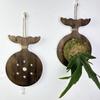 Gekoolde Massief Hout Hertenhoorn Varen Hangbord Wandmontage Plantenbak Voor Verticale Tuin Orchideeën Hangende Plantenbak