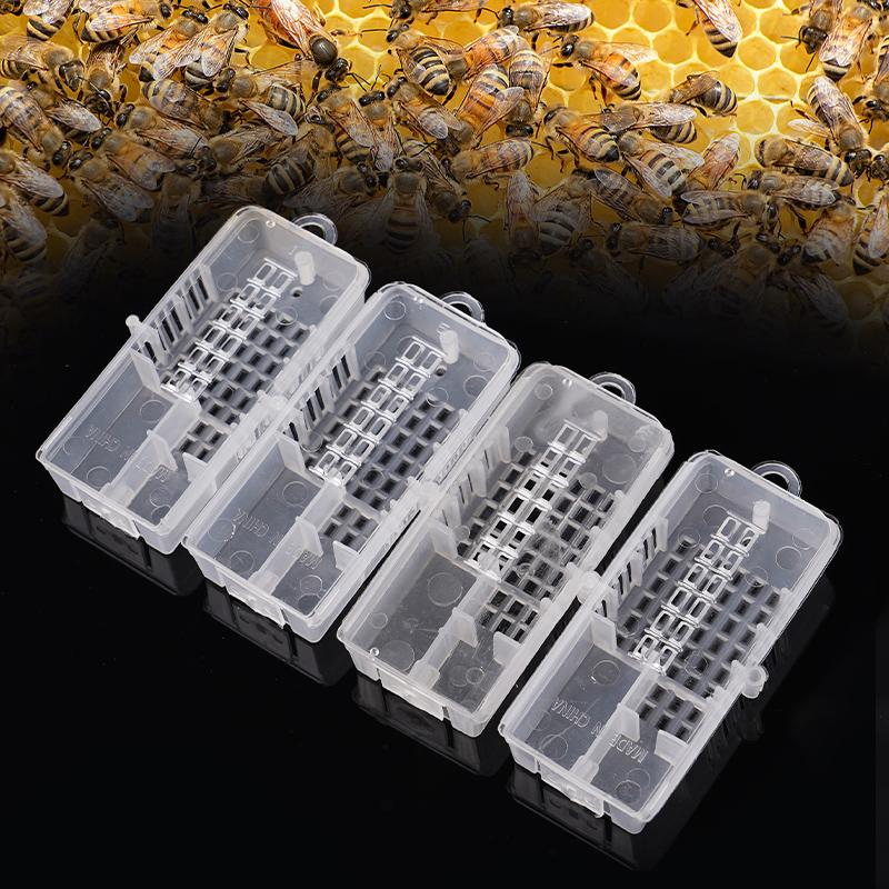 30pcs Bee Tools Bee King Transparent Cage Transport Queen Bee Cage Rearing Cage Cell Prisoner King Cage Beekeeping Supplies