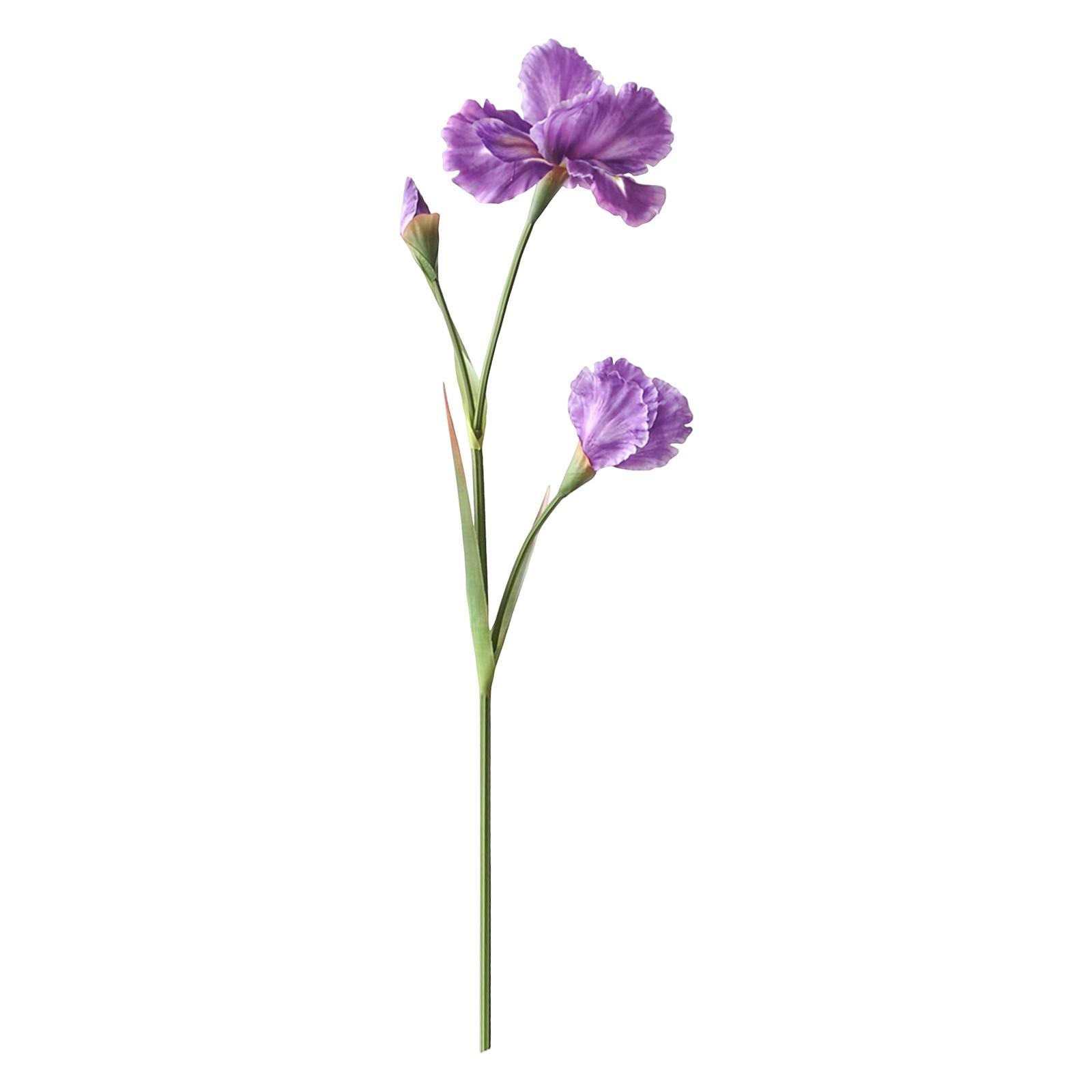 

Имитация, Мебель для гостиной, Свадебная фотография, Имитация цветочного декора One Size фиолетовый