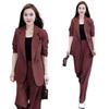 Plus Size Women's Two-Piece Suit: Wide-Leg Trousers & Blazer – Korean Style Loose Casual Set for Spring & Autumn.