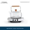 Jinglan Glass Tea Kettle and Electric Stove Set