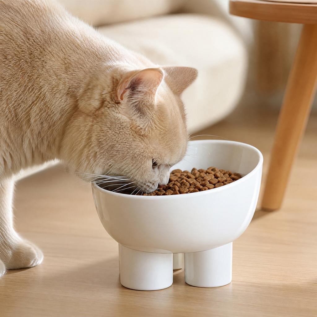 Large Capacity Pet Bowl for Cats and Dogs, -Spill Elevated Feeder with Neck, Non- Four-Leg Base, Stylish Design