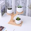Durable Planter Tray Anti Deformed Bamboo Plants Pot Holder Stand for Succulent