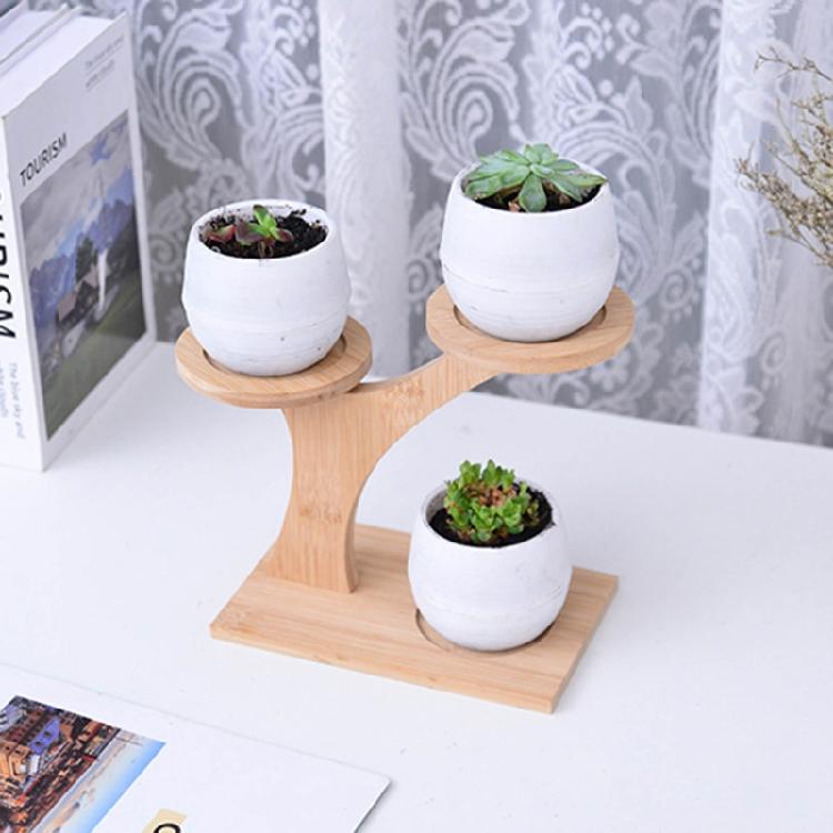 Durable Planter Tray Anti Deformed Bamboo Plants Pot Holder Stand for Succulent