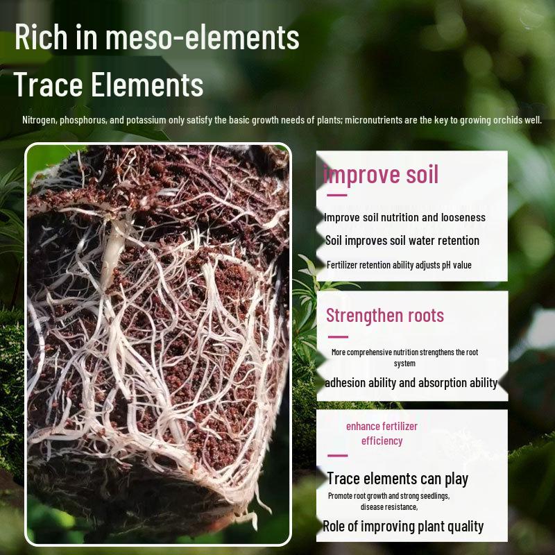 Orchid Nutrient Solution: Promotes Flower Spikes, Treats Yellow Leaves, Black Spots & Root Rot, Encourages Flowering with Special Fertilizer