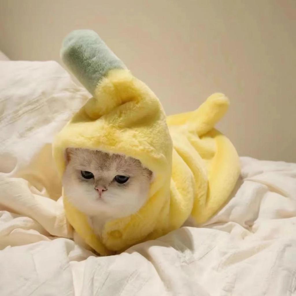 Cat Banana Costume Banana Shaped Outfit Dress Up Outfit For Small Medium Breed Pet Dogs Cat Halloween Christmas Spring Fall