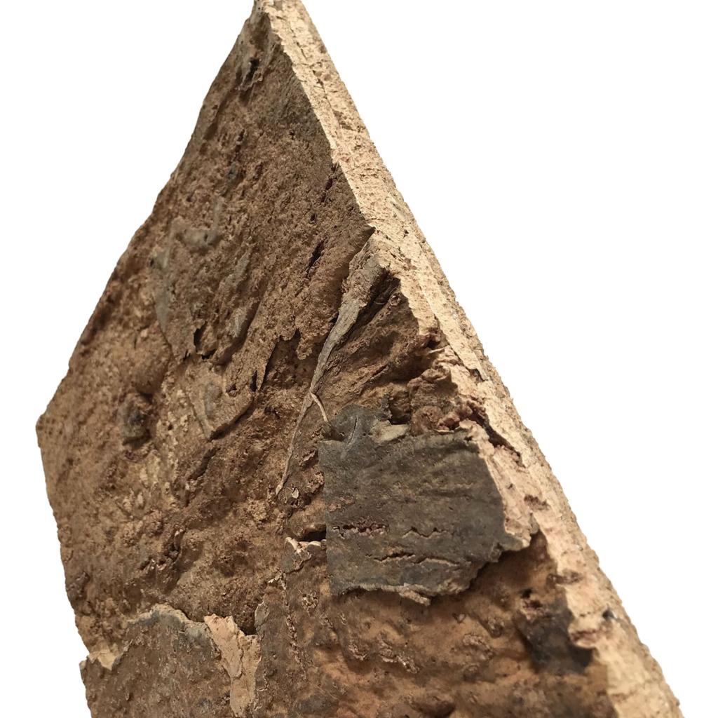 BioVirgin Cork Background Brown 30x30cm cork background for terrariums
