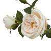 Hill Interiors The Natural Garden Collection Charity Rose Artificial Flower