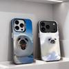 Funny Seal Animal Cute Phone Case For iPhone 17,16,15,14,13,12,11,Pro,XS,Max,Plus,Mini,SE4,E Black Matte Shockproof Cover