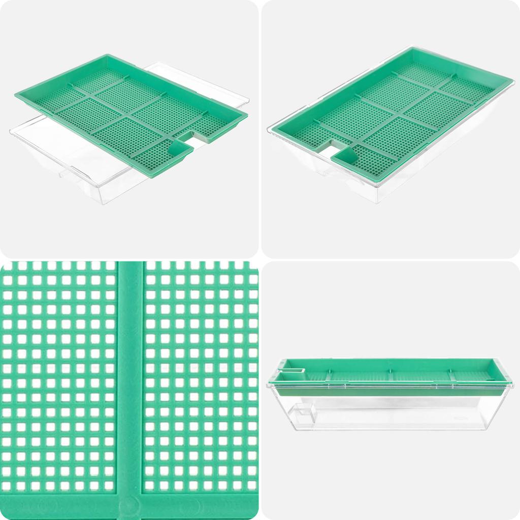 KADAX Kiełkownica Mała 16x10cm Zielona