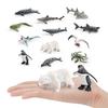 Shark Penguin Polar Bear Models With Pvc Material For Childrens Learning And Decor