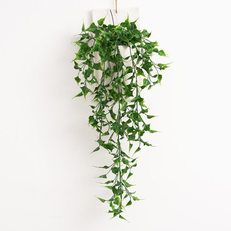 Plant Nepalensis Hedera Hanging Vines For Home Office Decor And Gift Idea