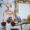 Fun Environment for Comprehensive Exercise Colorful Hanging Parrot Bird Toy Training Biting Chewing Accessory Handmade Intelligent Play Natural