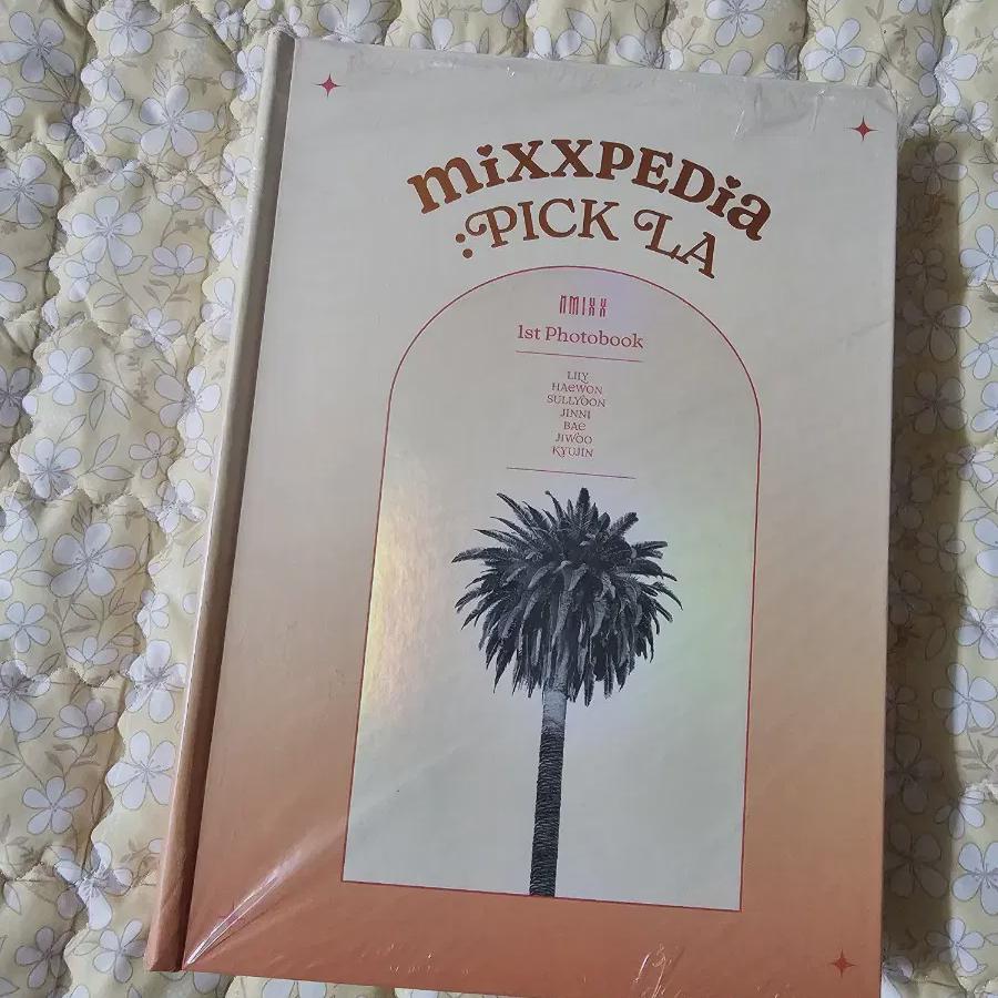 

Я продаю новый фотобук Nmixx