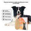Dog Stand-Ear Ear Care Aid for Puppies - Large Dog Stand-Ear Device for Ear Care Assistance