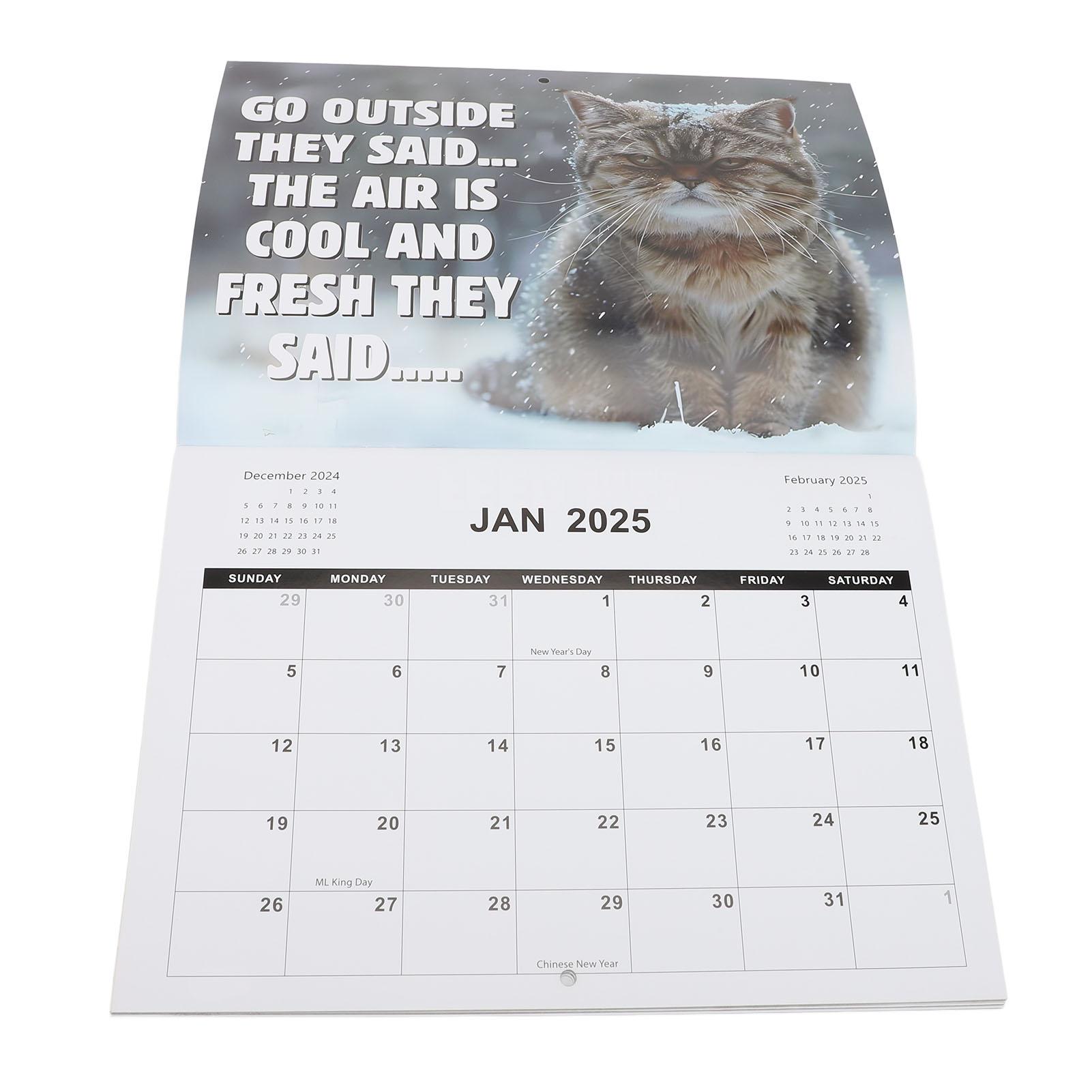 

Календарь Angry Cat 2025 28,5x21 см Забавный интересный настенный календарь с изображением кошек для любителей домашних животных