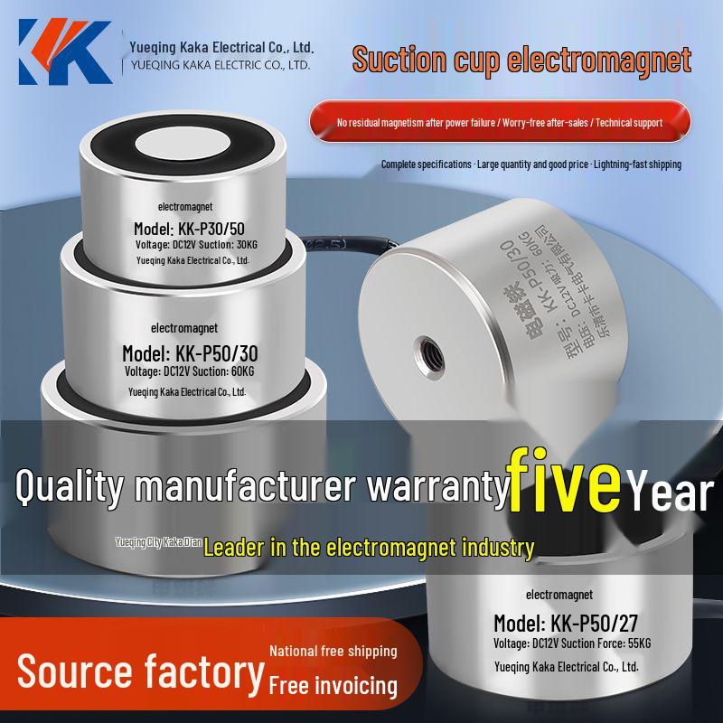 12V/24V/5V DC Strong Round Electromagnet Suction Cup for Industrial Use