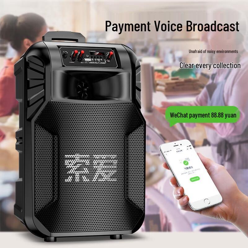 Soaiy SA-T25 Portable Bluetooth Karaoke Speaker