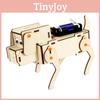 Hand Assembled Wooden Mechanical Dog Children Puzzle Toy Model Control Function For Educational Fun