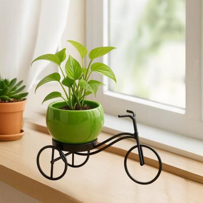 Decorazioni per la casa – Vasi di fiori decorativi