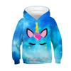 Autumn 3D Cute Animal Printed Hoodies Fashionable Casual Sports Long Sleeved Children's Boy Hooded Sweatshirts
