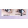 LuxeFlutter - Natural Wispy Cluster Glue-Free False Eyelashes