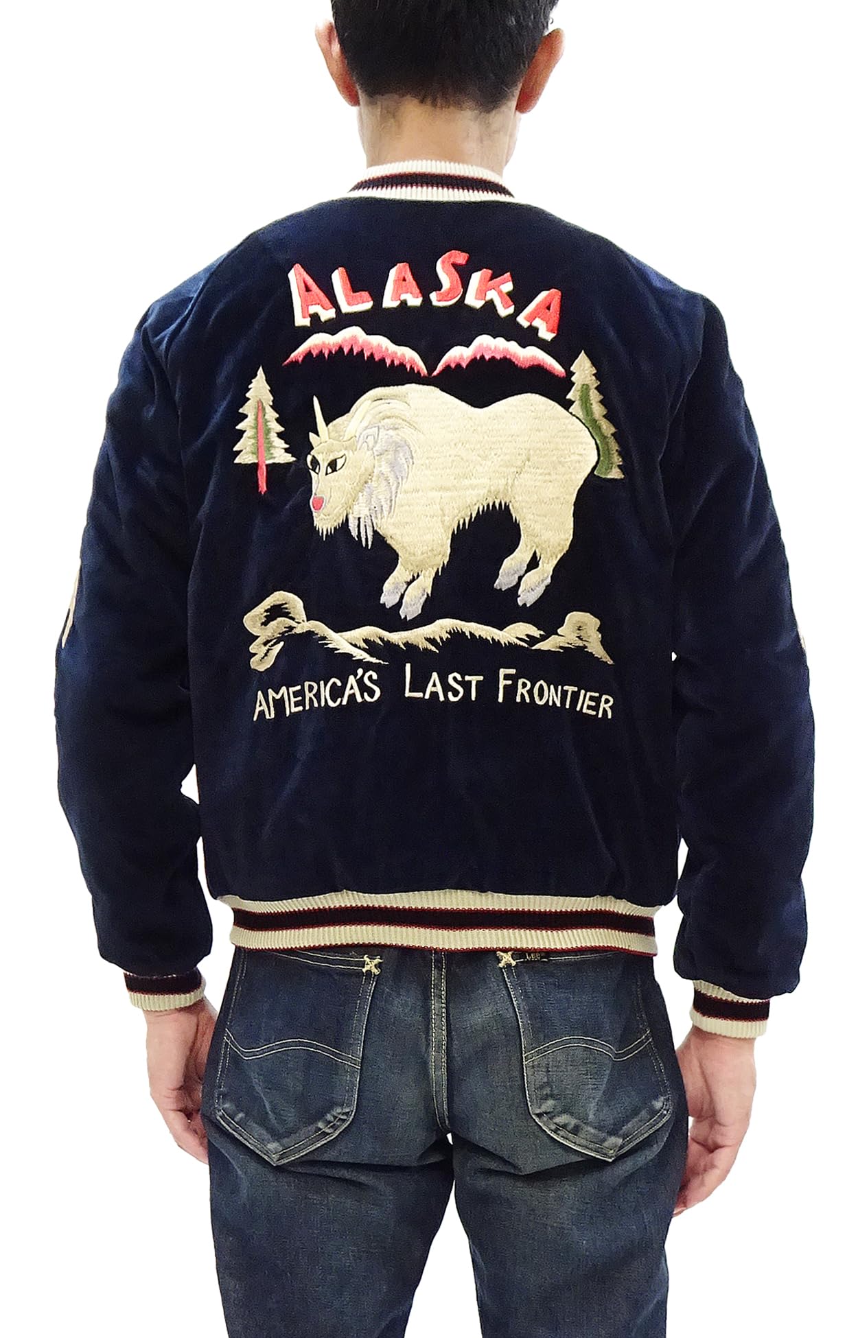 

Tailor Toyo Сукуджан Аляскинський візерунок TT15544 Вельвет x Сатин Куртка-сувенір Темно-синій 128 (Кравець Тойо) Чоловічий TT15544-128 (JP, Алфавіт, M, Темно-синій)