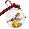 Nature's Birds Ball Ornament 3D Animal Clear Plastic Ball Decoration Christmas Tree Memorial Gift for Bird Lovers