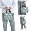 Corgi Puppy Lie Down In Blue Background Insulated Lunch Bag for Kid Cooler Thermal Food Box Tote Leakproof Lunch Boxes Container