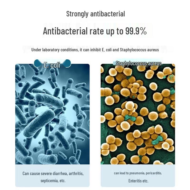 Chahua Antibacterial Refrigerator Food Storage Container