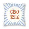 Ciao Bella Blue And Red Square Pillowcase Polyester Linen Velvet Printed Zip Decor Throw Pillow Case Room Cushion Cover