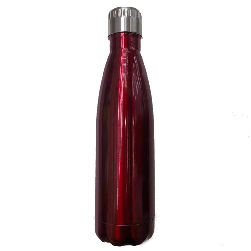 Shangqi Kids  Portable Stainless Steel Insulated Bottle - 2-Pack