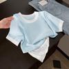 Women's Hollow Knit Ice Silk Short Sleeve T-Shirt