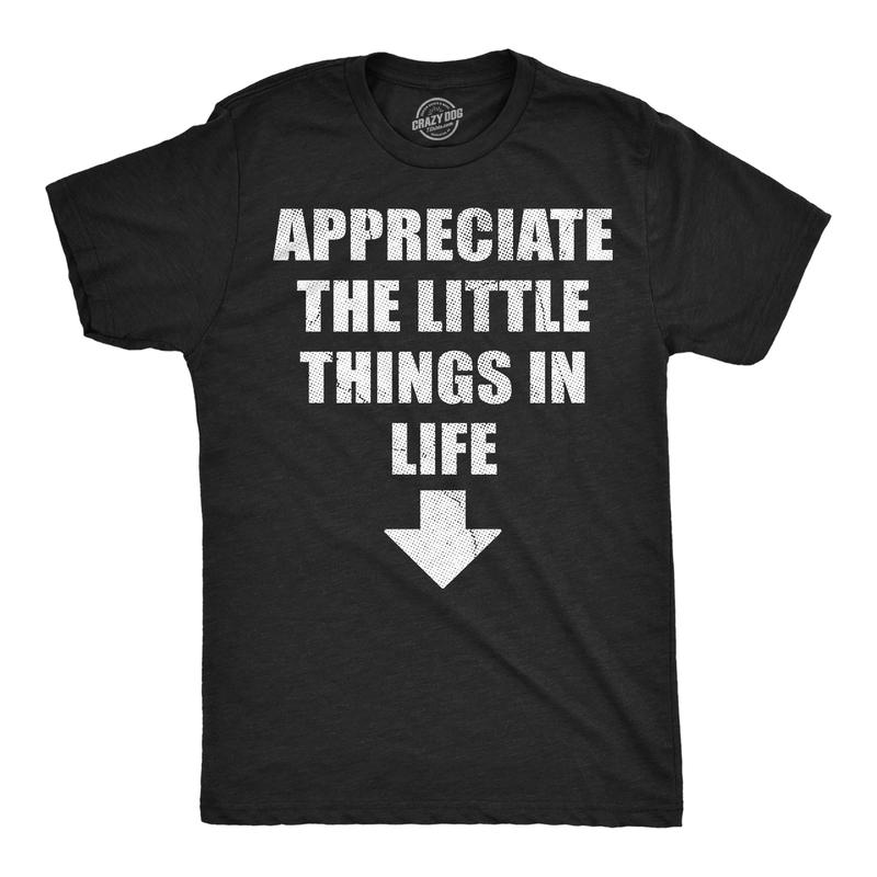 Mens Funny T Shirts Appreciate The Little Things In Life Sarcastic Dick Joke Novelty Tee for Men Mens Funny T Shirts Cool Vintag M