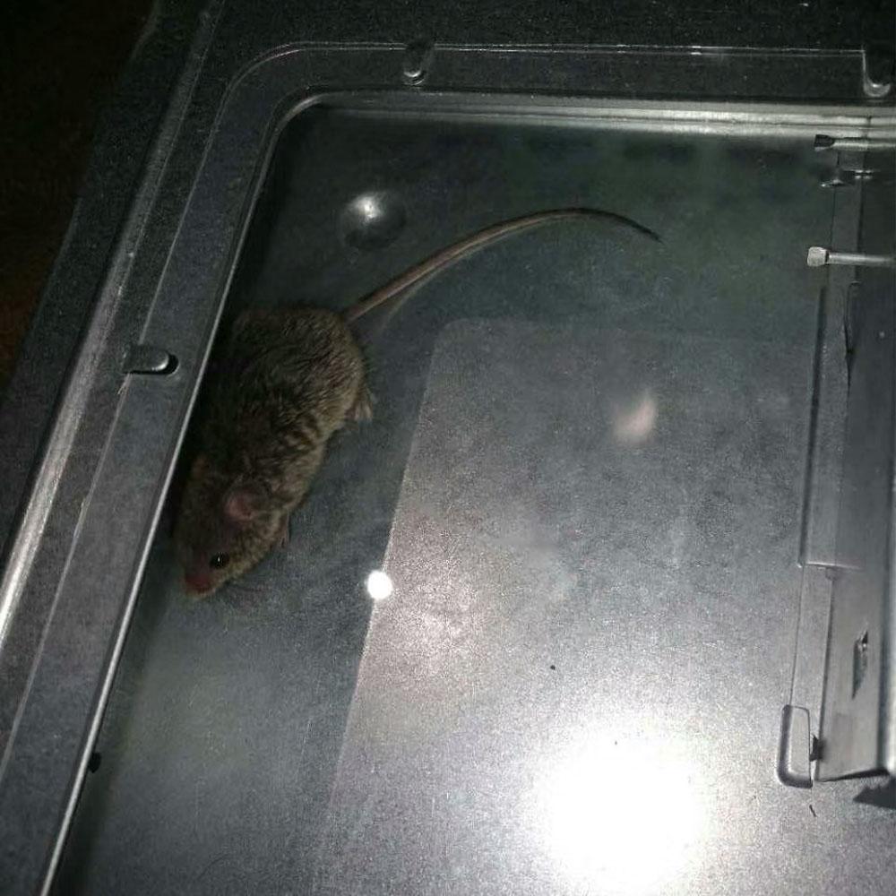 Mouse Catcher Self Catching Mice Killer Humanized Reusable Rodent Catcher with Protective Cover Mouse Control for Living Room