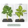 Large Size Artificial Plant 7 Heads Simulation Turtle Leaf Fake Greenery  Leaf  Photo Props