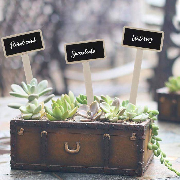 Étiquettes en bois pour plantes - lot de 30, réutilisables pour pots, herbes et légumes