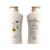 Obeis Herbal Tea Seed Anti-Dandruff Shampoo
